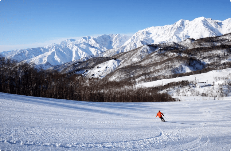 ลานสกีสึกาอิเคะโคเก็น