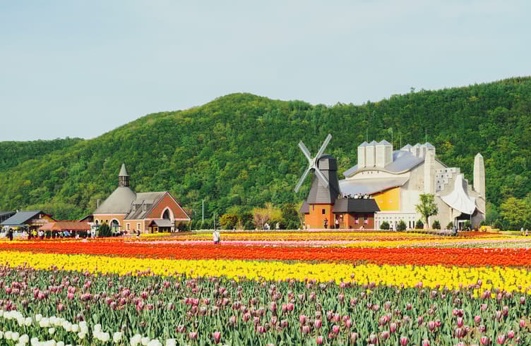 สวนทิวลิปคามิยุเบซึ  