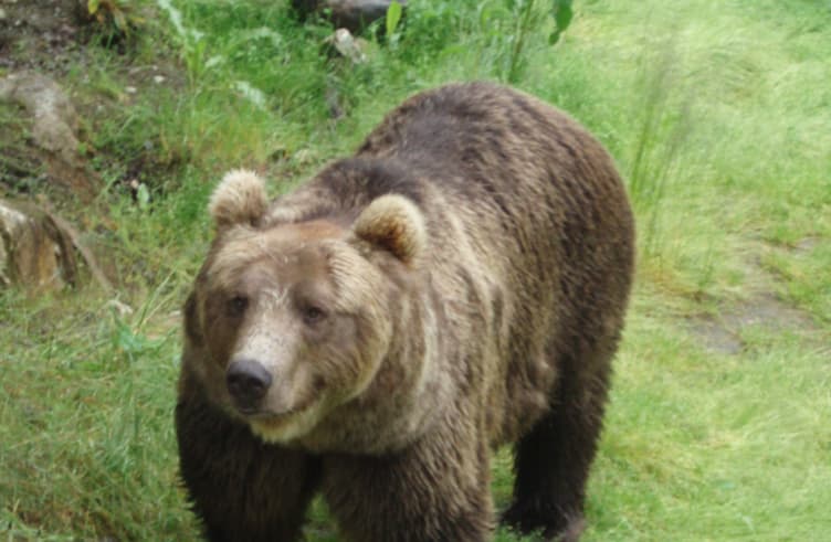 สวนสัตว์โพลาพาร์ค