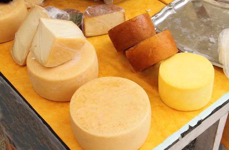 โรงงานชีสเนเธอร์แลนด์