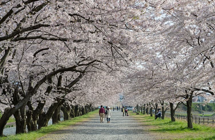 สวนอาซาฮี ฟุนะคาว่า