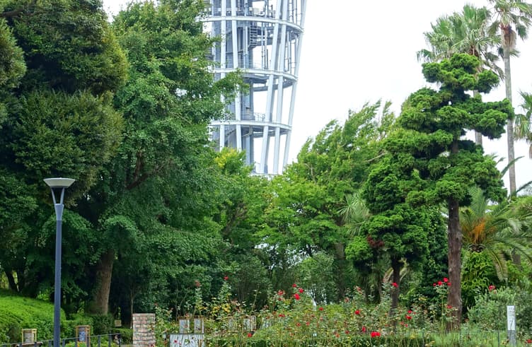 สวนสาธารณะซามูเอล