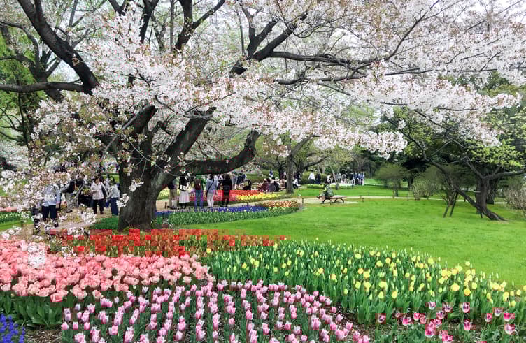 สวนโชวะคิเนน