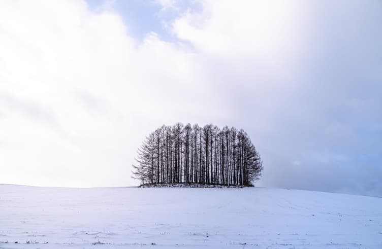 เนินเขาไมลด์เซเว่น 