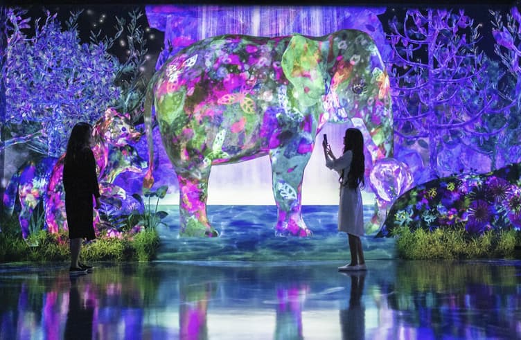 พิพิธภัณฑ์ศิลปะดิจิตอล