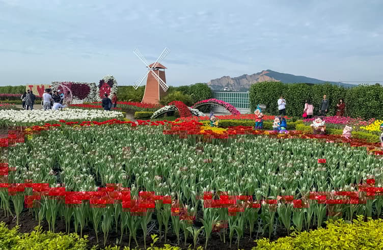 สวนดอกไม้จงเซ่อ