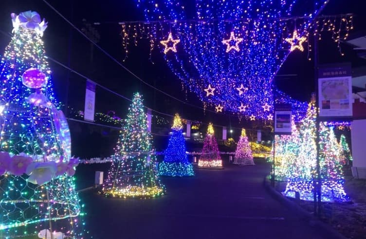 งานเทศกาลประดับไฟฤดูหนาว 