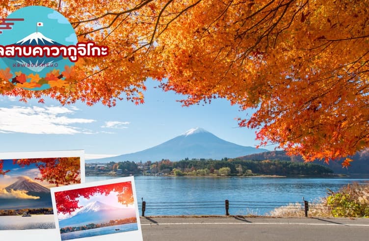 จุดชมวิวภูเขาไฟฟูจิริมทะเลสาบคาวากุจิโกะ