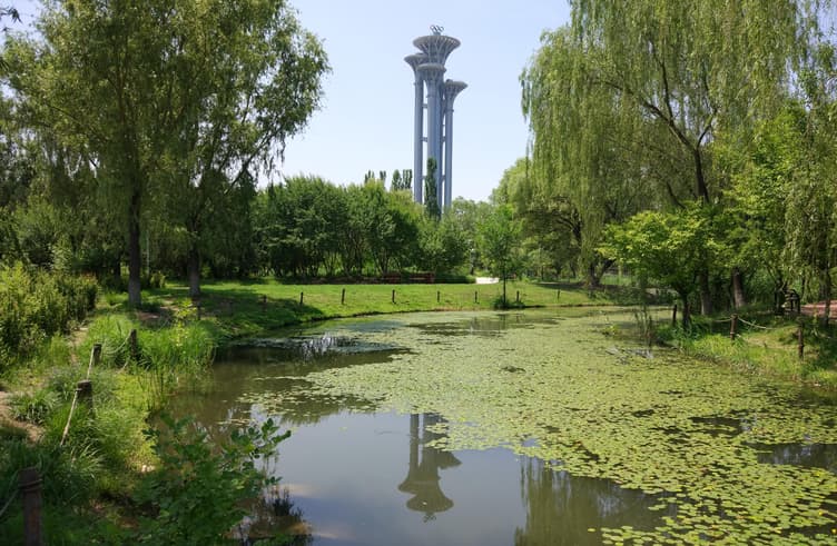 สวนป่าโอลิมปิค