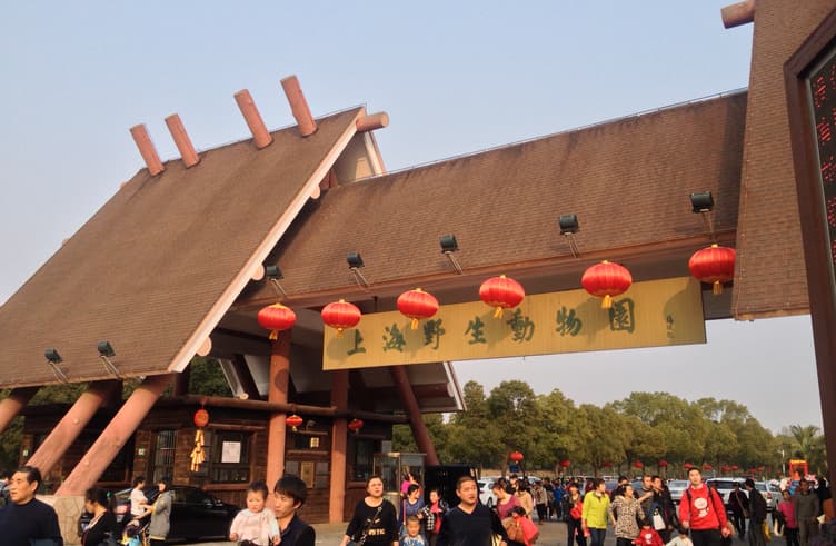 สวนสัตว์ป่าเซี่ยงไฮ้