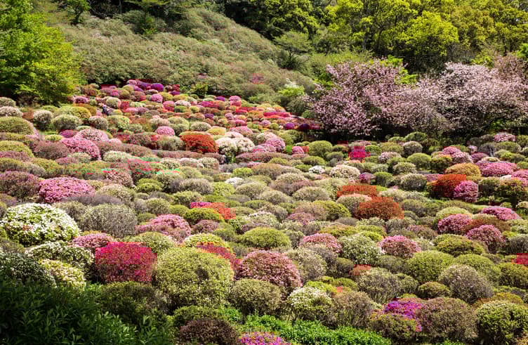 สวนมิฟุเนะยามะ