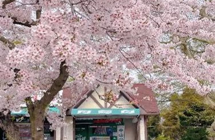 สวนจงซาน