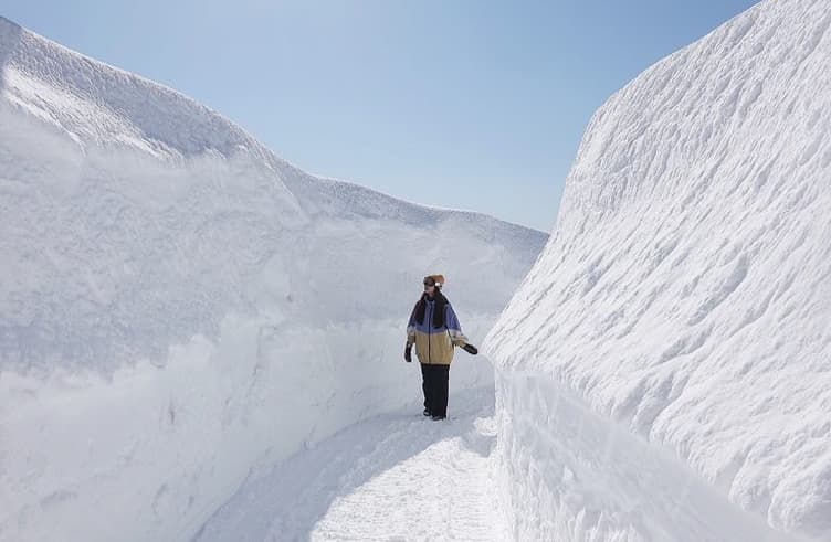 กำแพงหิมะ