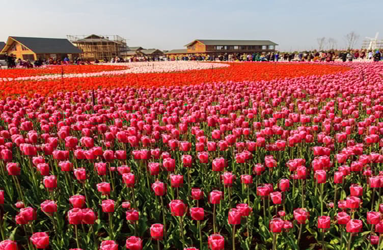 สวนเหล่าหยูเหอ