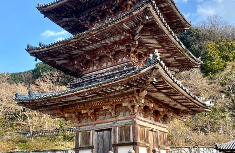 วัดสึโบซากะเดระ