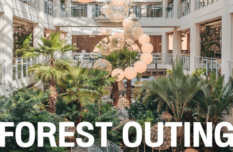 Songdo Forest Outings Cafe