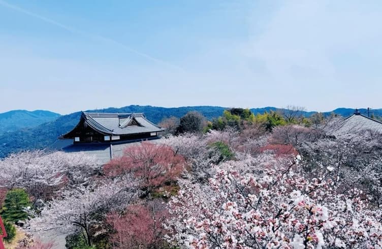 วัดโชกุนซุกะเซริวเด็น