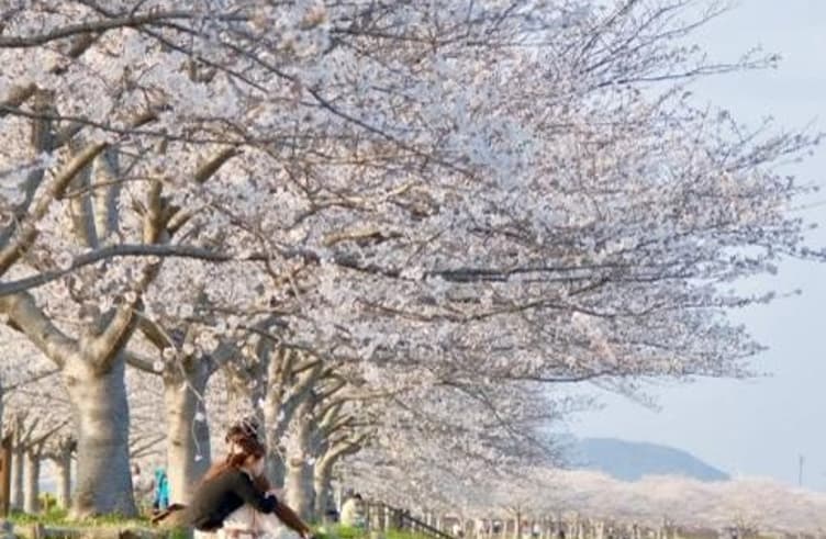 โอโนะ ซากุระ สึสึมิ ไคโร