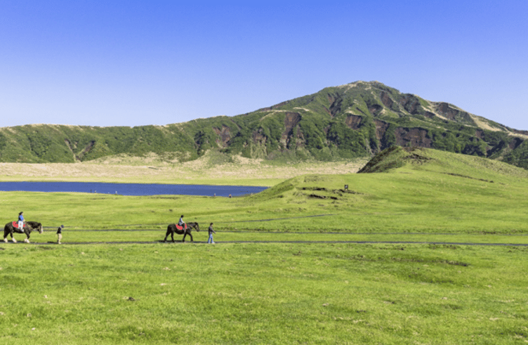 ทุ่งหญ้าคุซะเซนริ