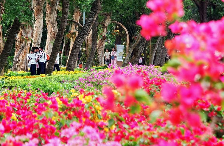 สวนดอกไม้ซื่อหลิน