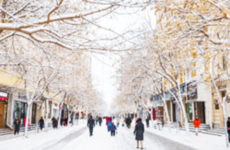 ถนนจงยังลู่