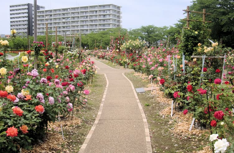 สวนสาธารณะไคเซซังเอ็น