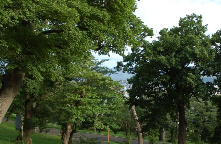 สวนเทะมิยะ