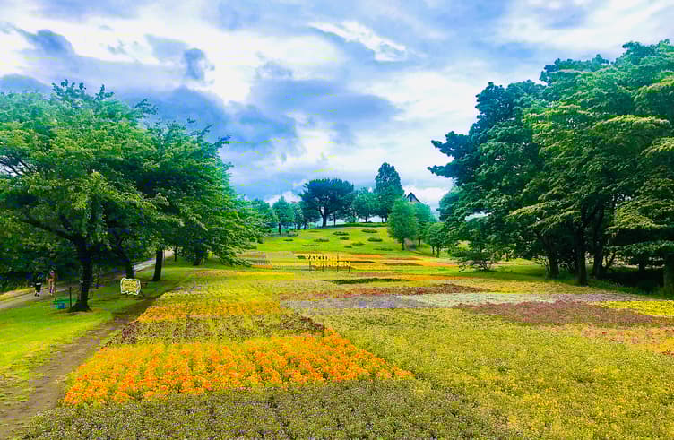 สวนดอกไม้ยะคุไร การ์เด้น