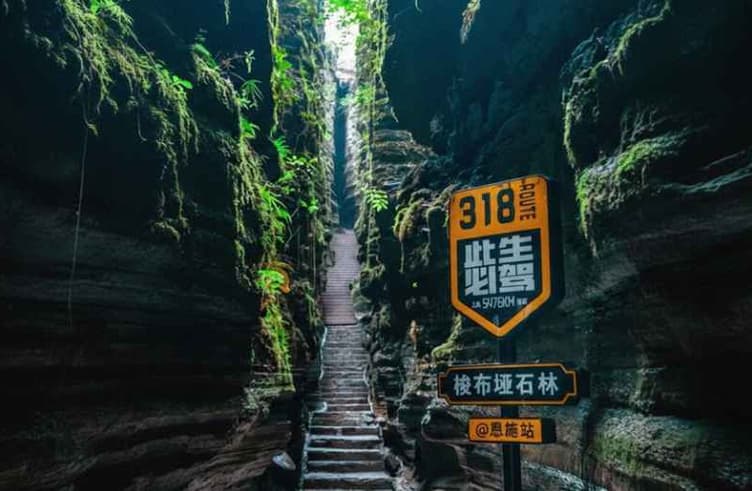 ป่าหินซัวปู้หยา 