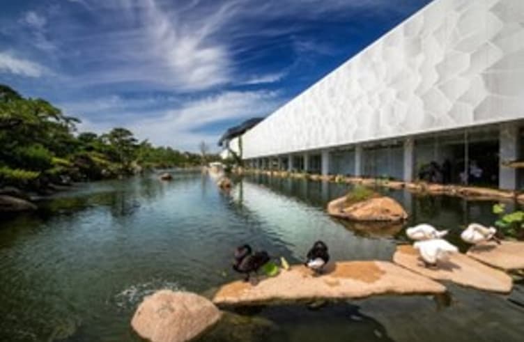 พิพิธภัณฑ์ศิลปะภาพถ่ายหลัวหง