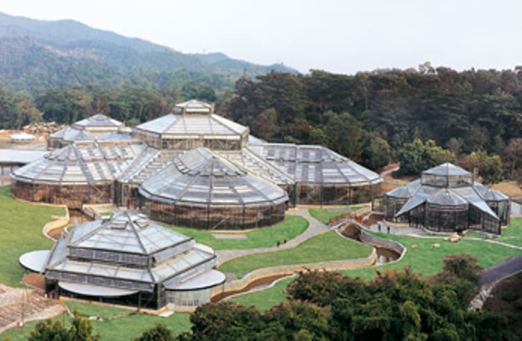 สวนดอกไม้Hangzhou