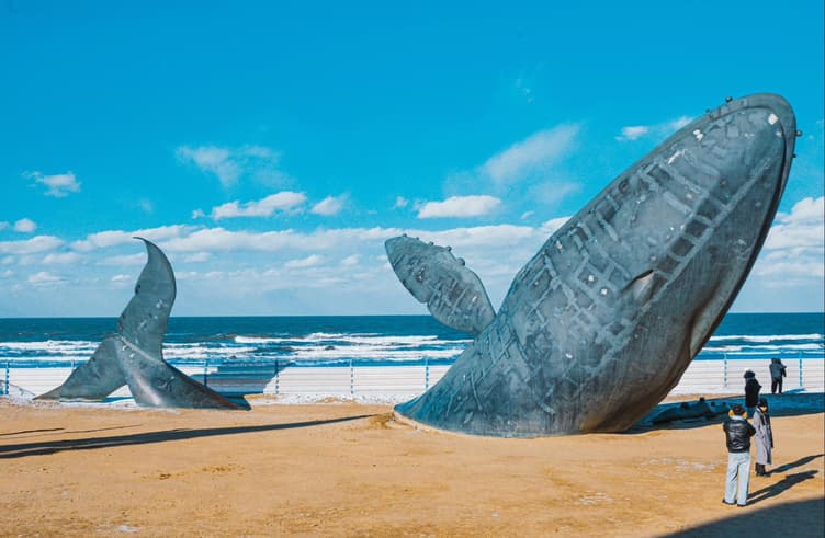 ปลาวาฬเดียวดาย