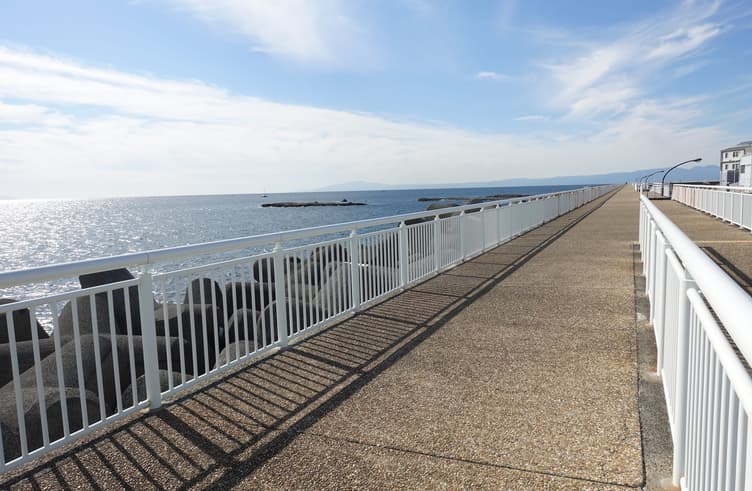 ท่าเรือคาตาเสะ