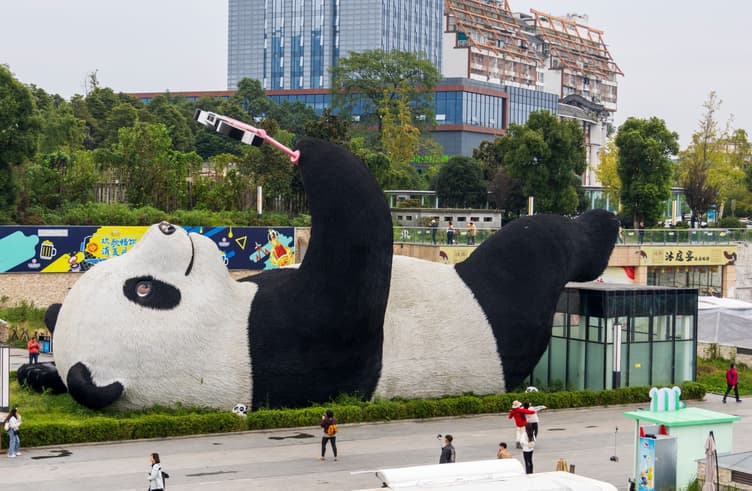 แพนด้าเซลฟี่