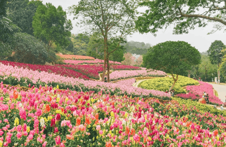 สวนดอกไม้สี่ฤดู