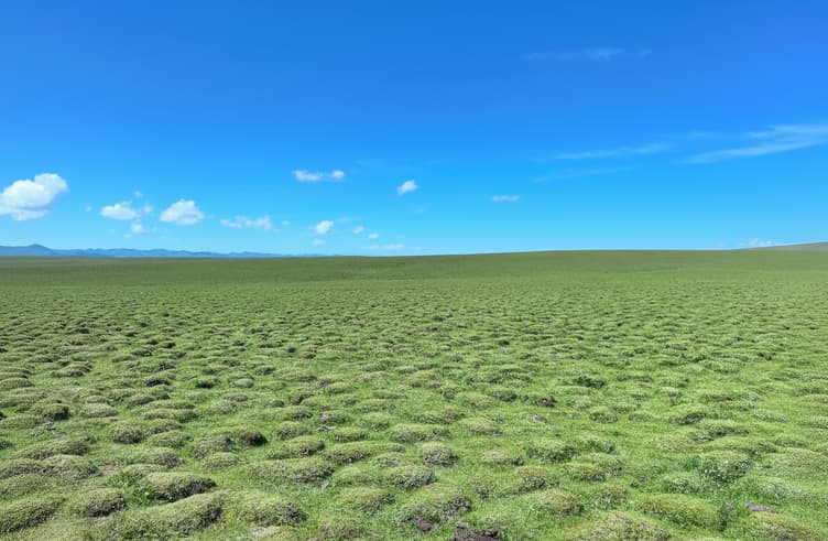 ทุ่งหญ้าเหม่ยเหริน