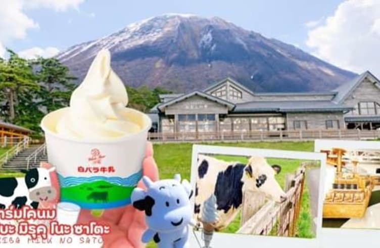 ฟาร์มโคนมไดเซน มากิบะ มิรุคุโนะ ซาโตะ 