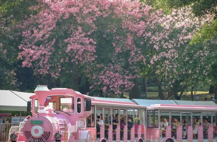 สวนดอกไม้สี่ฤดูแห่งภูเขาซิงซิ่ว