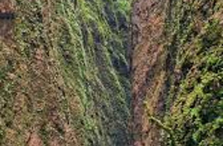 อุทยานภูเขาจินหลีซาน