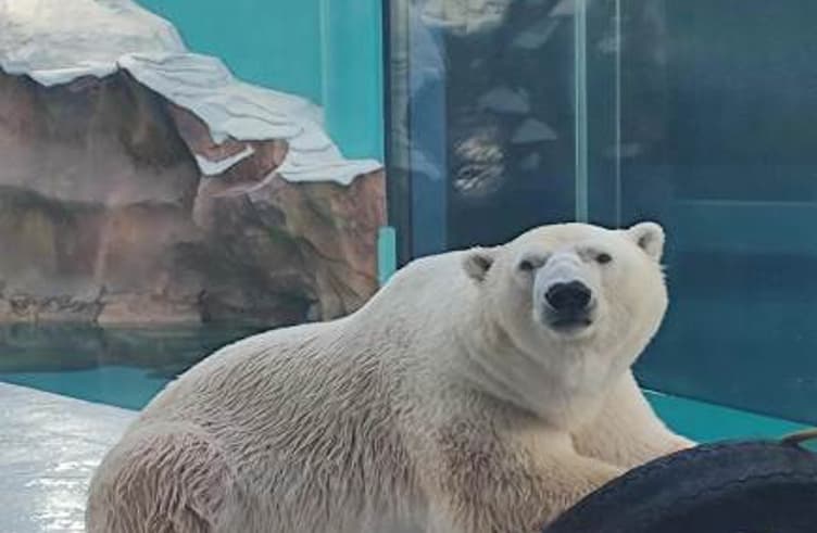 HARBIN POLAR PARK