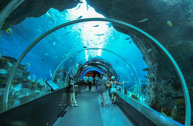 Singapore Oceanarium