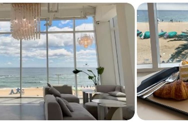 Whale Light Cafe