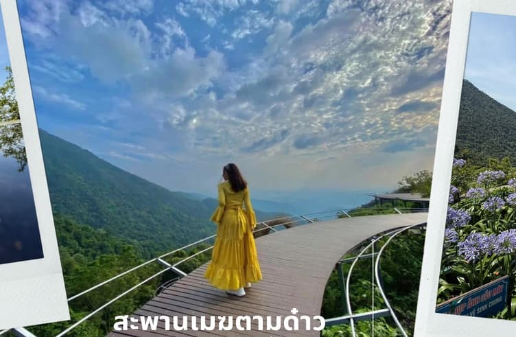 สะพานเมฆตามด๋าว