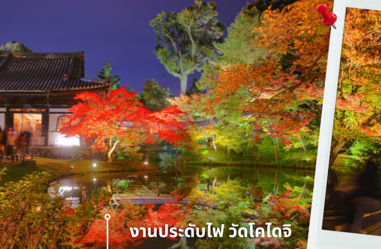 งานประดับไฟโคไดจิ