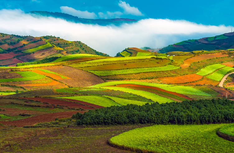 โหลวผิง