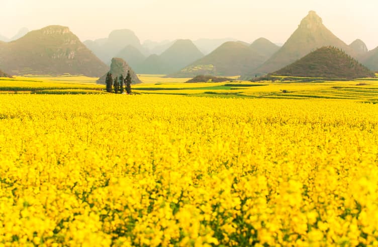 เทือกเขาไก่ทอง