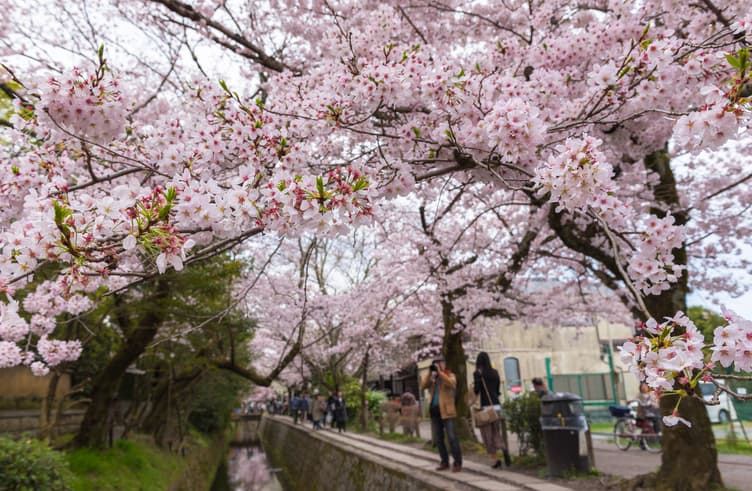 ถนนสายนักปราชญ์ (เท็ตสึกะคุโนะมิจิ)