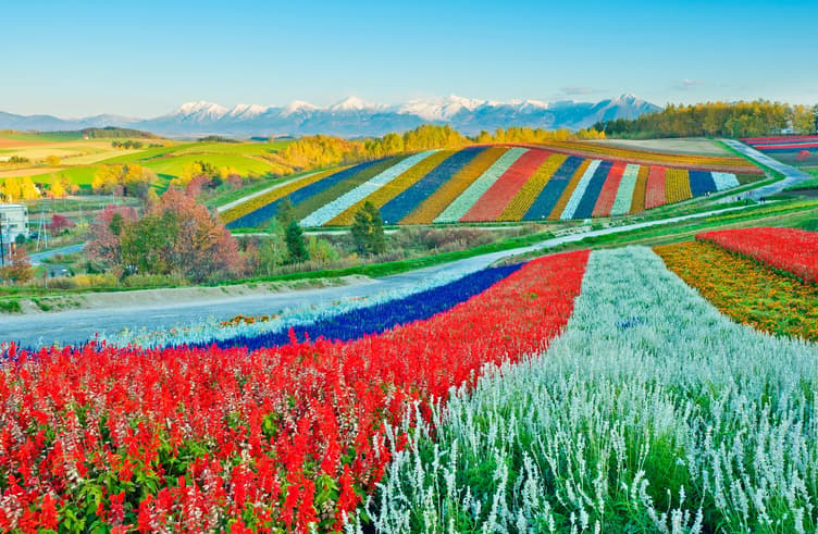 Patchwork Road
