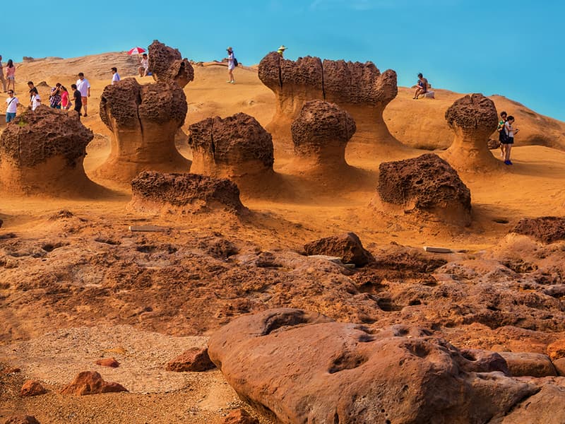 ทัวร์อุทยานเย่หลิว