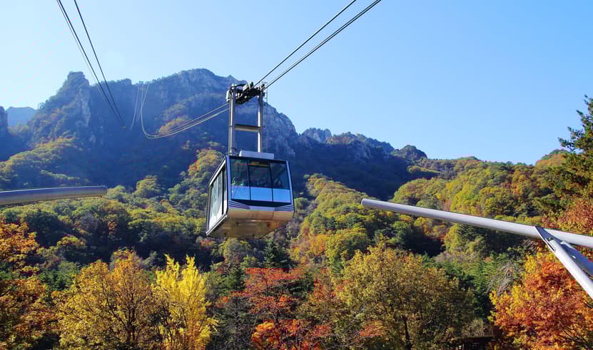 ทัวร์เกาหลี โซล 5 วัน 4 คืน อุทยานซอรัคซาน เกาะนามิ บิน BX